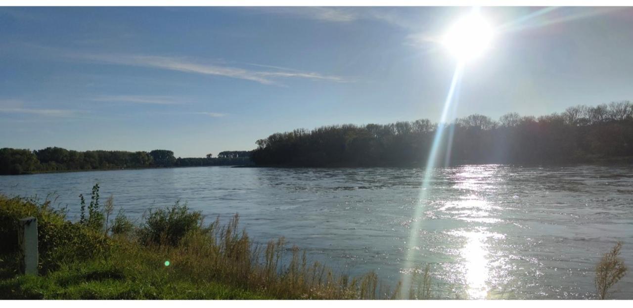Urlaub Am Rhein Speyer Hockenheim Appartement Altlussheim Buitenkant foto