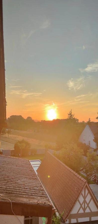 Urlaub Am Rhein Speyer Hockenheim Appartement Altlussheim Buitenkant foto